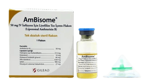 Ambisome 50 Mg Iv İnfüzyon İçin Liyofilize Toz İçeren 10 Flakon 1 Ambisome 50 Mg Iv Infuzyon Icin Liyofilize Toz Iceren 10 Flakon 27190