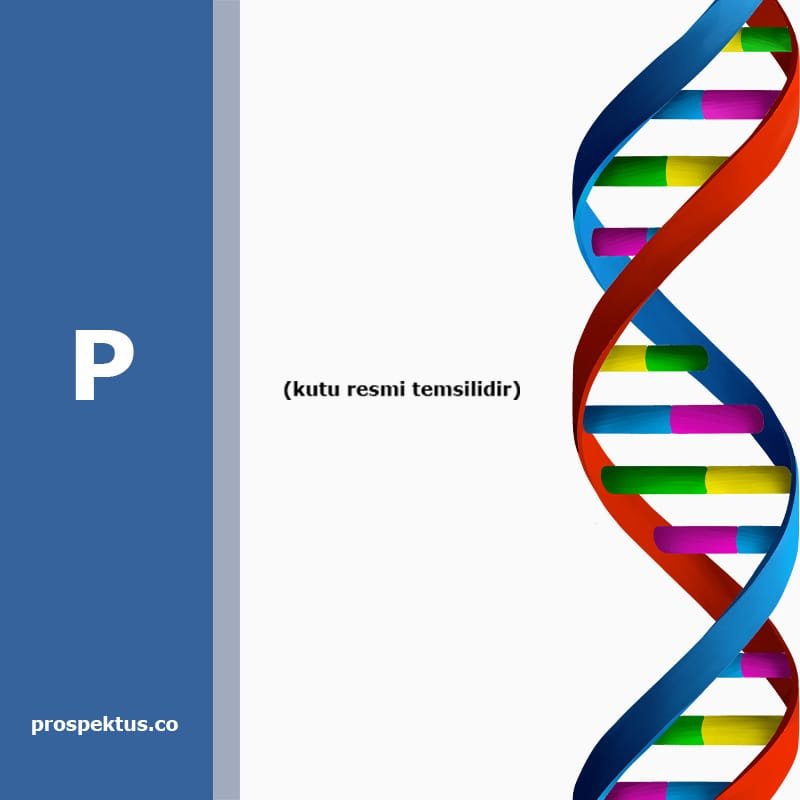 Amloros 5 5 Mg 30 Film Kapli Tablet 27228