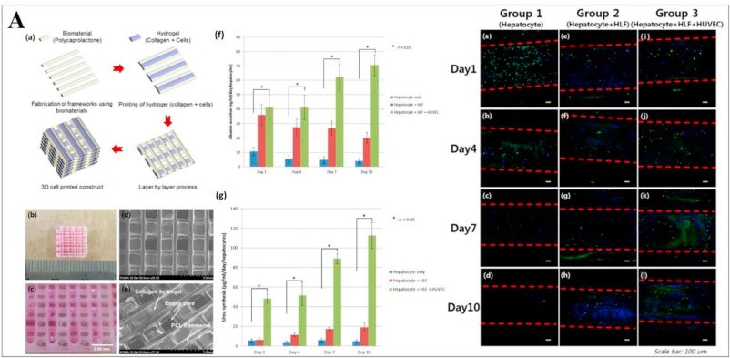 Biopin Insulin Pen Needle 30 G 0.3 6 Mm 27867