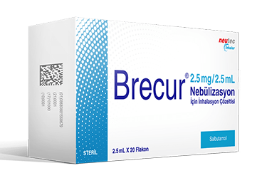 Brecur 25 Mg 25 Ml Nebulizasyon Icin Inhalasyon Cozeltisi 20 Flakon 20116