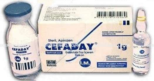 Cefaday Iv 1 Gr 1 Flakon 28229