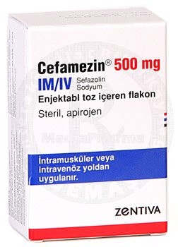 Cefamezin Im/Iv 250 Mg 1 Flakon 1 Cefamezin Im Iv 250 Mg 1 Flakon 28239