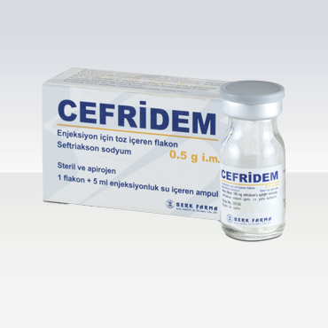 Cefridem 1 Gr I.m. Enjeksiyon İçin Toz İçeren Flakon 1 Cefridem 1 Gr I.m. Enjeksiyon Icin Toz Iceren Flakon 28297