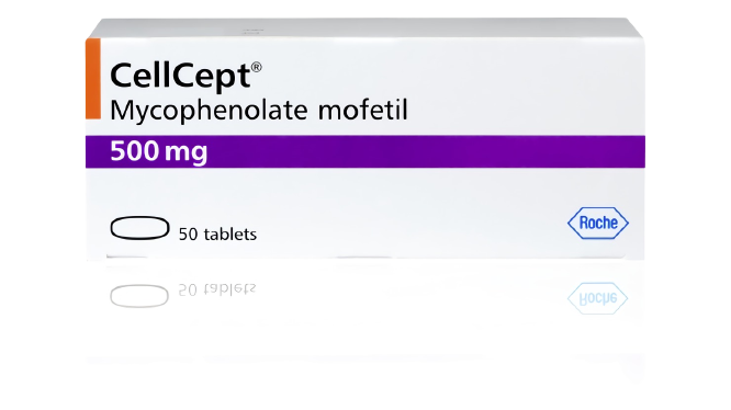 Cellcept 500 Mg 50 Tablet 1 Cellcept 500 Mg 50 Tablet 20377