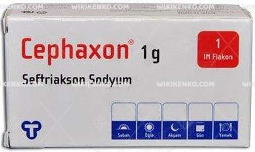 Cephaxon Im 1000 Mg 1 Flakon 28325