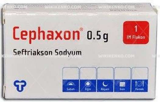 Cephaxon Im 500 Mg 1 Flakon 28326