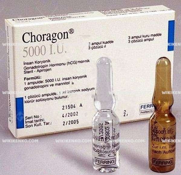 Choragon 5000 Iu 3 Ampul 28380
