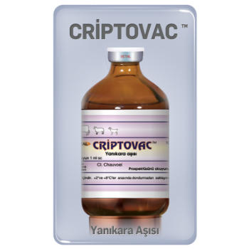 Cipro Iv 200 Mg 1 Flakon 1 Cipro Iv 200 Mg 1 Flakon 28407