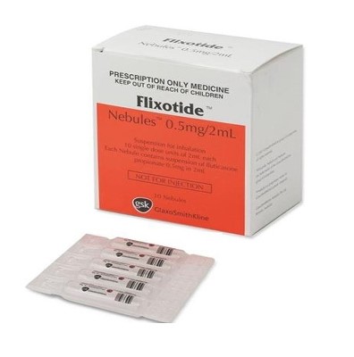 Flixotide Nebules 0,5 Mg/2 Ml 1 Flixotide Nebules 05 Mg 2 Ml 21728
