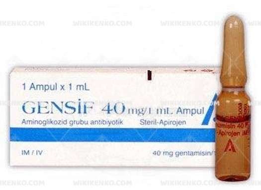 Gensif 40 Mg/2 Ml Ampul 1 Gensif 40 Mg 2 Ml Ampul 30272