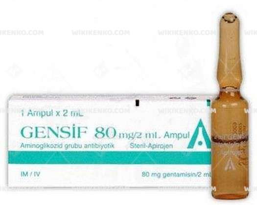 Gensif 80 Mg/2 Ml 50 Ampul 1 Gensif 80 Mg 2 Ml 50 Ampul 30273