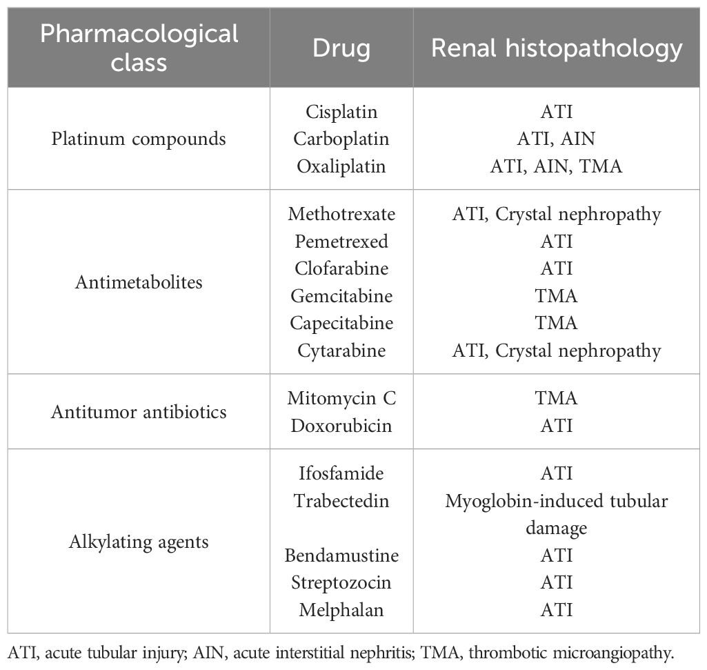 Mannitol 250 Ml Sol Setli Sise 31740