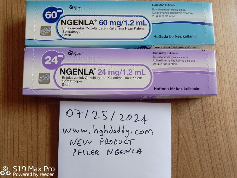 Ngenla 24 Mg/1,2 Ml Enjeksiyonluk Cozelti̇ Iceren Kullanima Hazir Kalem 1 Ngenla 24 Mg 12 Ml Enjeksiyonluk Cozelti Iceren Kullanima Hazir Kalem 23777