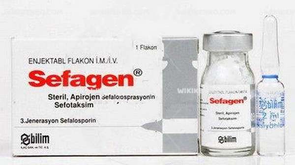 Sefagen 500 Mg Iv/ Im 1 Flakon 1 Sefagen 500 Mg Iv Im 1 Flakon 34389