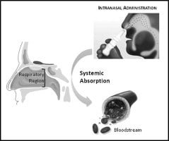 Suprefact 105Mg Gr Nasal Solusyon 34803