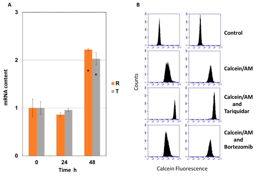 Tamoxifencell 10 Mg 30 Tablet 34885