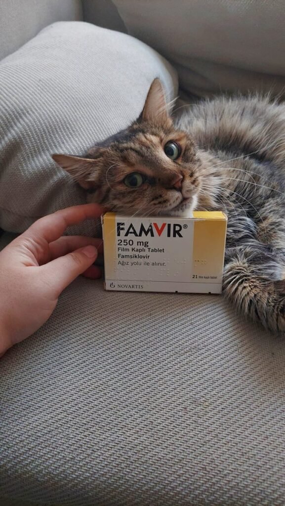 Virmol 250 Mg 21 Film Kaplı Tablet 1 Virmol 250 Mg 21 Film Kapli Tablet 35669